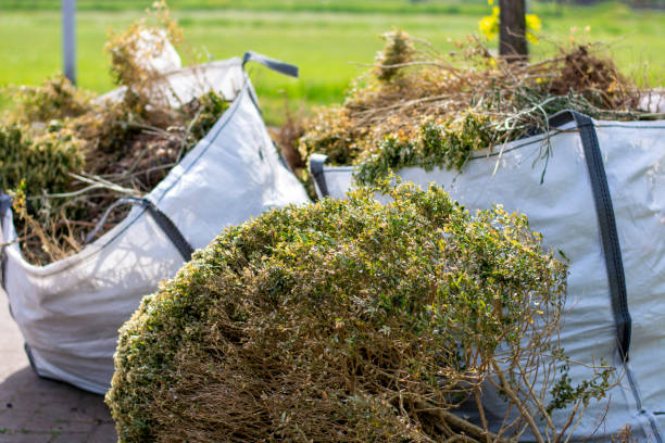Best Residential Junk Removal  in Lakeside, VA